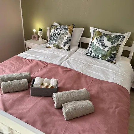 “poli” نيسيبار