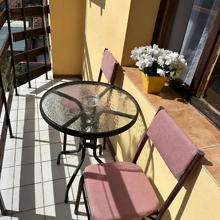 بيت ضيافة “poli”